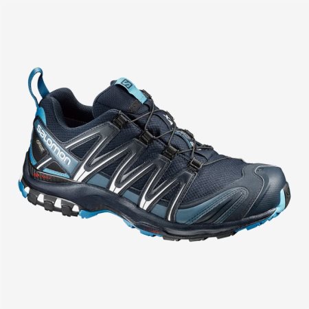 Salomon XA PRO 3D GTX Mens Hiking Shoes Navy | Salomon South Africa